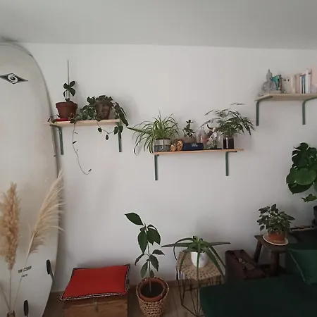 T2 Hyper Centre Apartment